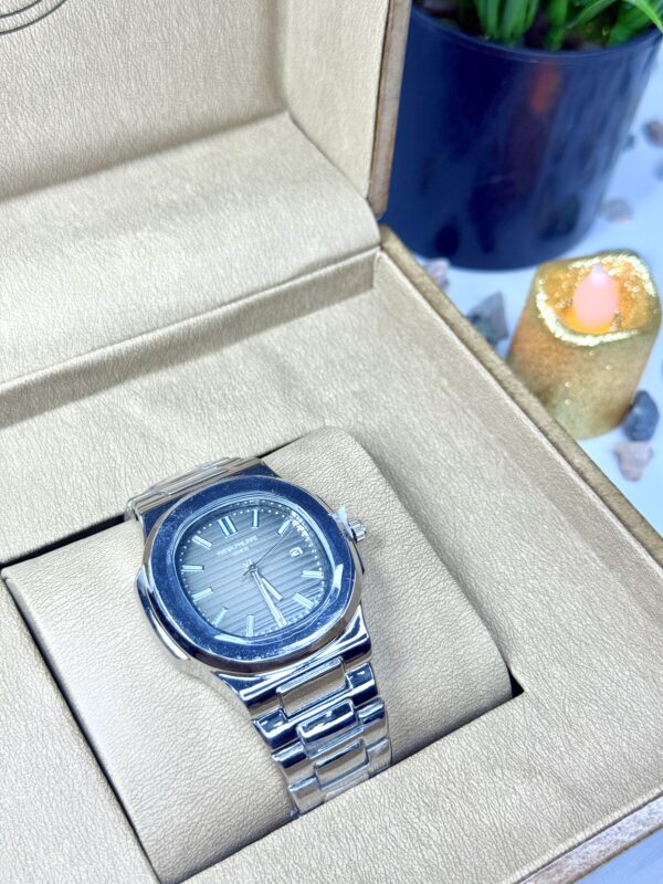 PP Silver Brown Dial With Date